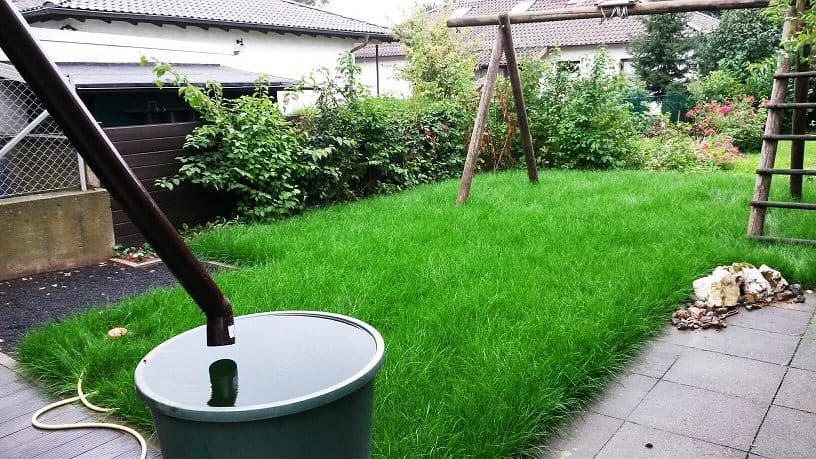 Bodenvorbereitung für eine neue Rasenfläche